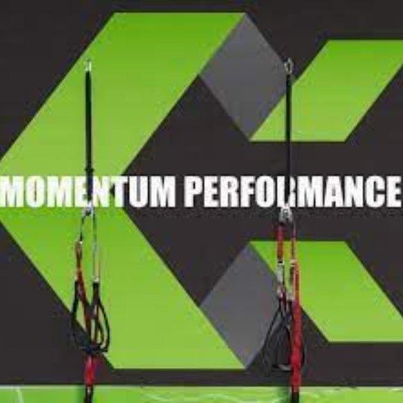 MOMENTUM PERFORMANCE OUTFITTERS VINTAGE "TRAVERSE" EMBROIDERED FULL ZIP HOODIE P - Picture 3 of 16